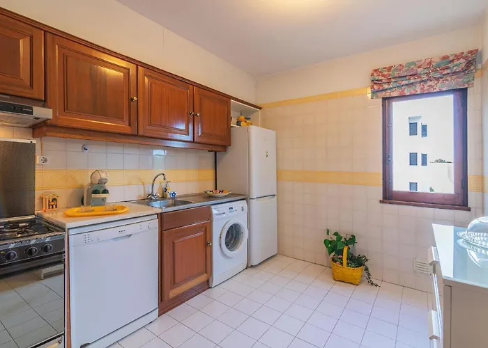 Salgados 2 By Homing * 알부페이라